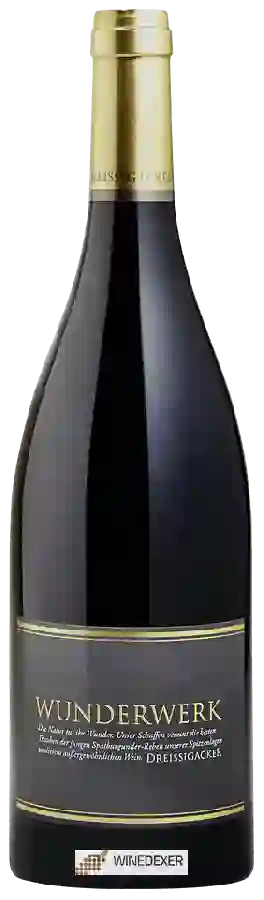 Winery Dreissigacker - Wunderwerk Spätburgunder
