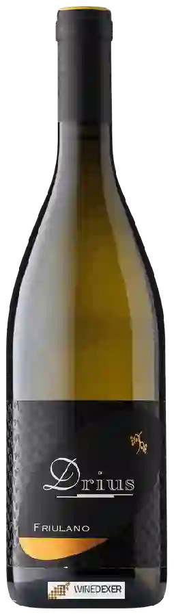Winery Drius - Friulano Winery Drius - Friulano