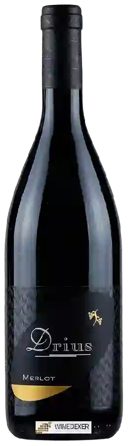 Winery Drius - Merlot