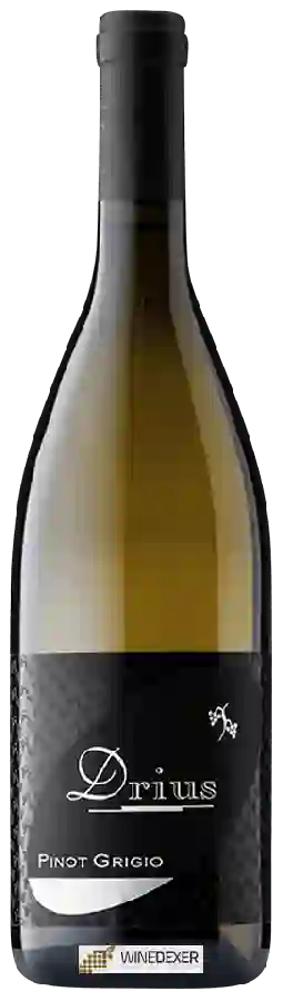 Winery Drius - Pinot Grigio