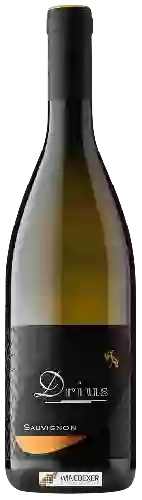 Winery Drius - Sauvignon