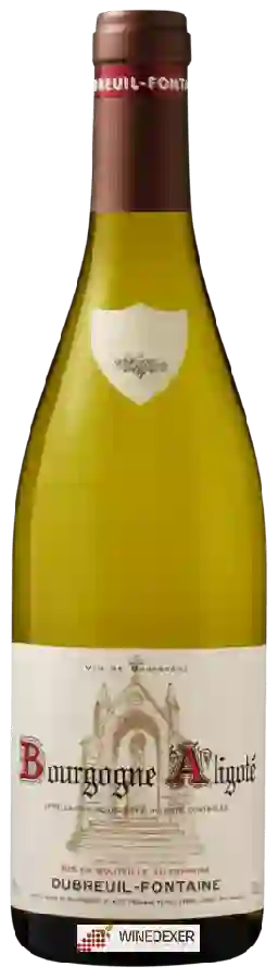 Domaine Dubreuil-Fontaine - Bourgogne Aligoté