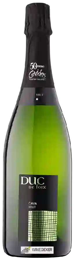 Winery Duc de Foix - Cava Brut