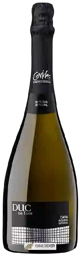 Winery Duc de Foix - Cava Reserva Especial Winery Duc de Foix - Cava Reserva Especial
