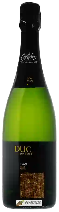 Winery Duc de Foix - Cava Semi Seco