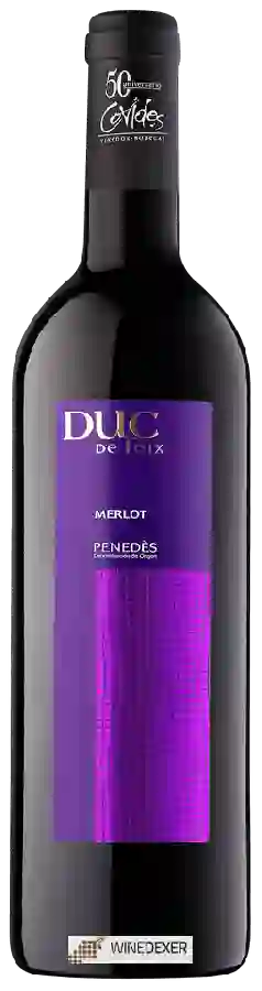 Winery Duc de Foix - Merlot