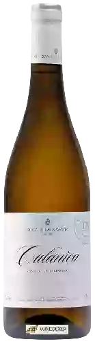 Winery Duca di Salaparuta - Insolia - Chardonnay Calanica
