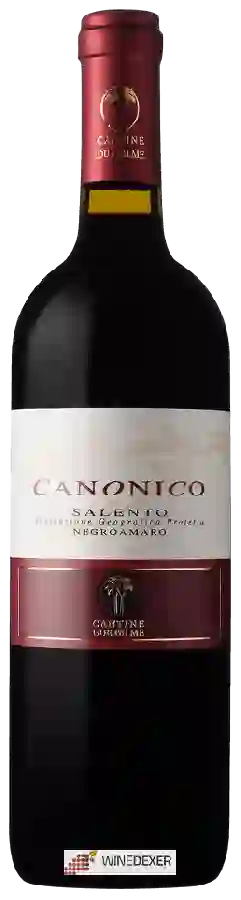 Winery Cantine due Palme - Canonico Negroamaro Salento