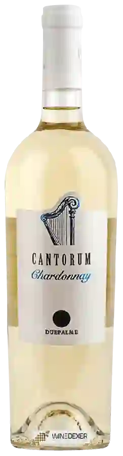 Winery Cantine due Palme - Cantorum Chardonnay Winery Cantine due Palme - Cantorum Chardonnay