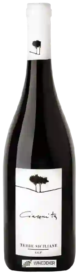 Winery Due Pini - Ciaramita