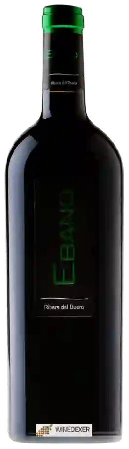 Winery Ébano - Tinto