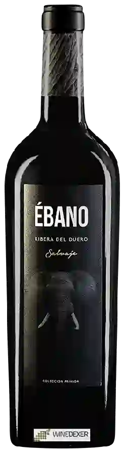 Winery Ébano - Salvaje