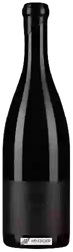 Winery Ebner-Ebenauer - Grüner Veltliner 'Black Edition'