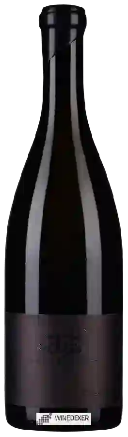 Winery Ebner-Ebenauer - Grüner Veltliner 'Black Edition'