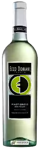 Winery Ecco Domani - Pinot Grigio