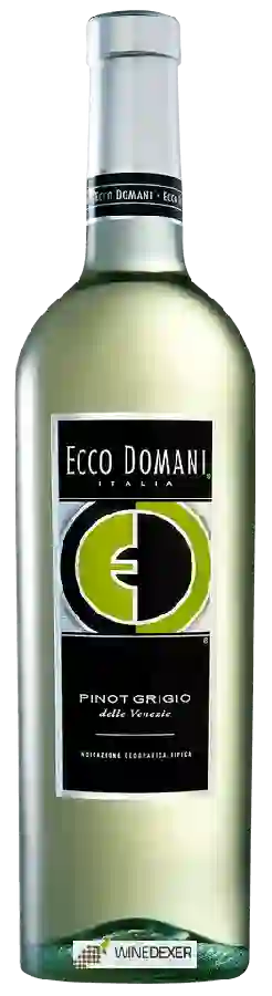 Winery Ecco Domani - Pinot Grigio