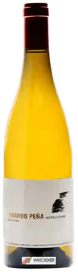 Winery Eduardo Peña - Castrelo de Miño