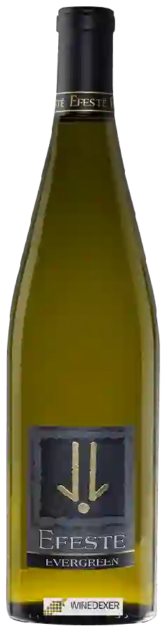Winery Efestē - Evergreen