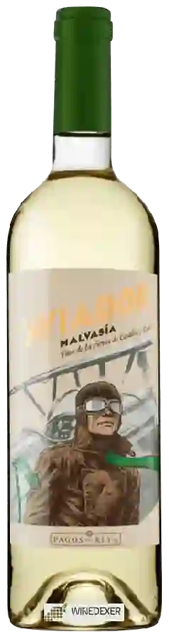 Winery El Aviador - Malvasia