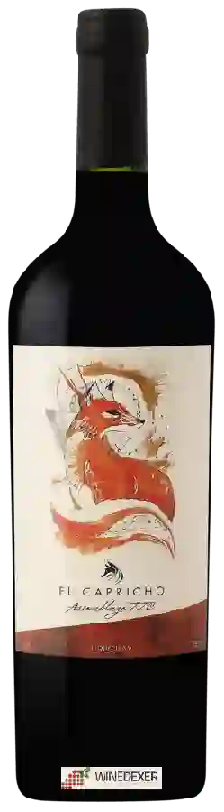 Winery El Capricho - Assemblage