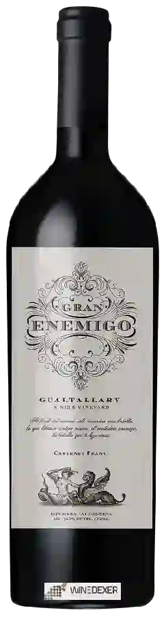 Winery El Enemigo - Gran Enemigo Single Vineyard Gualtallary Cabernet Franc