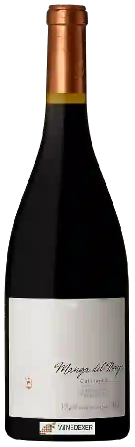 Winery El Escocés Volante - Manga del Brujo