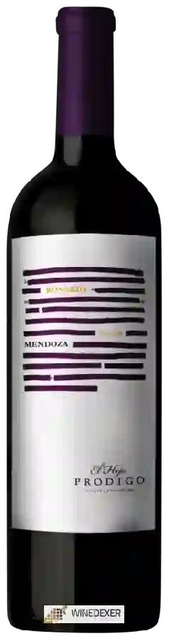 Winery El Hijo Prodigo - Selección Bonarda Winery El Hijo Prodigo - Selección Bonarda