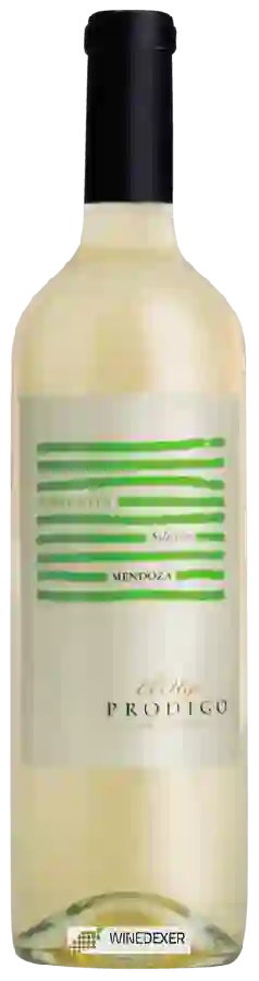 Winery El Hijo Prodigo - Selección Torrontes Winery El Hijo Prodigo - Selección Torrontes