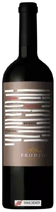 Winery El Hijo Prodigo - Single Vineyard Reserva Malbec Winery El Hijo Prodigo - Single Vineyard Reserva Malbec