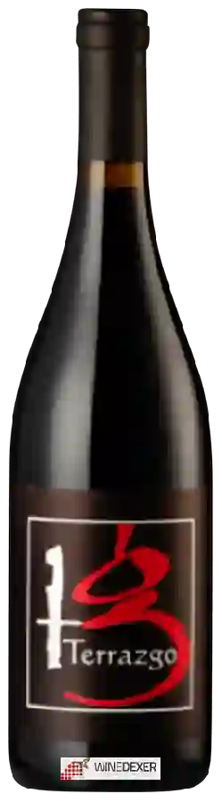 Winery El Lagarto - Terrazgo T