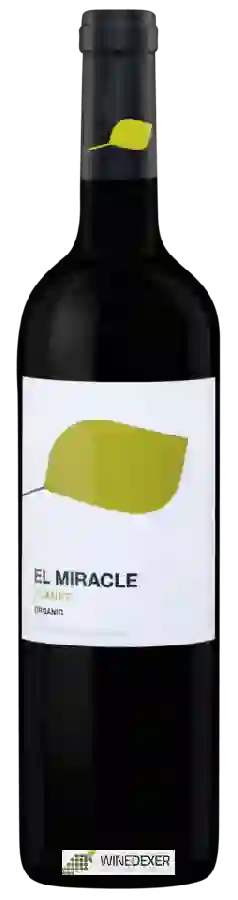 Winery El Miracle - Planet Organic Wine Winery El Miracle - Planet Organic Wine