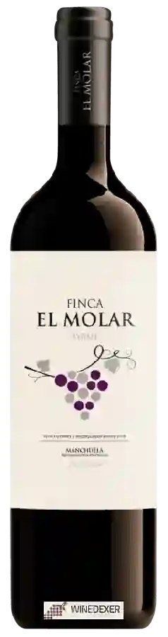 Winery Finca El Molar - Syrah Winery Finca El Molar - Syrah