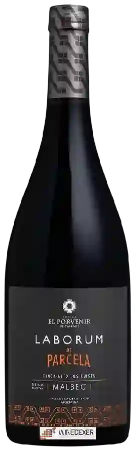 Bodega El Porvenir de Cafayate - Laborum de Parcela Finca Alto Los Cuises Malbec