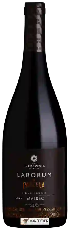 Bodega El Porvenir de Cafayate - Laborum de Parcela Finca Alto Rio Seco Malbec