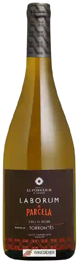 Bodega El Porvenir de Cafayate - Laborum de Parcela Finca El Retiro Torrontés