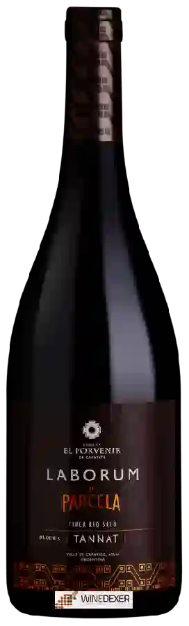 Bodega El Porvenir de Cafayate - Laborum de Parcela Finca Rio Seco Tannat