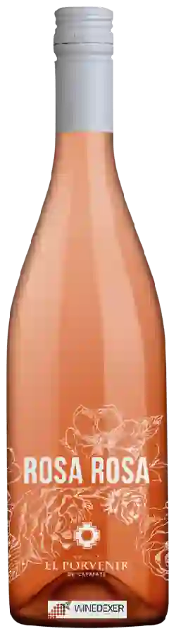 Bodega El Porvenir de Cafayate - Rosa Rosa