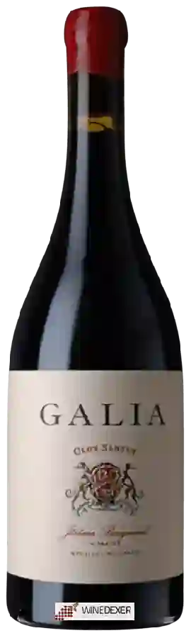 Winery El Regajal - Galia Clos Santuy Winery El Regajal - Galia Clos Santuy