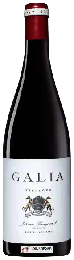 Winery El Regajal - Galia