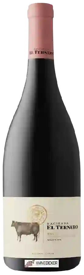Winery Hacienda el Ternero - Selecci&oacuten
