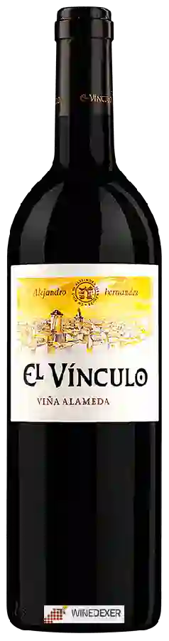 Winery El Vínculo - Viña Alameda
