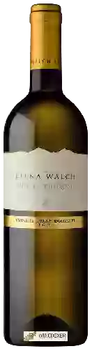 Winery Elena Walch - Müller Thurgau Vigneti delle Dolomiti