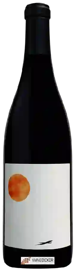 Winery Elephant Seven - Cosmic Reflection