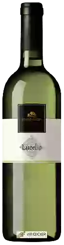 Winery Eligio Magri - Lucelio