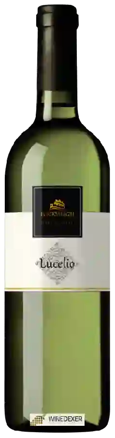 Winery Eligio Magri - Lucelio Winery Eligio Magri - Lucelio