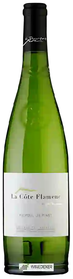 Winery Els Pyreneus - La Côte Flamenc Picpoul de Pinet