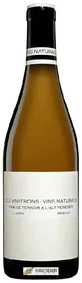 Winery Els Vinyerons - Lluerna Xarel-lo