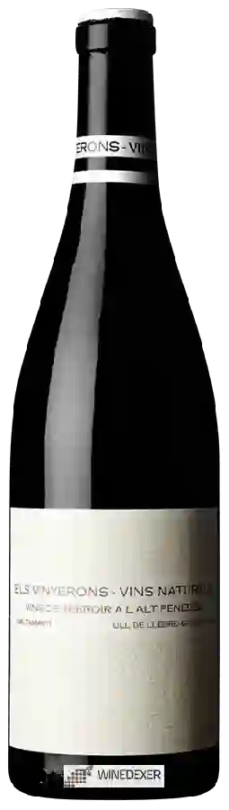 Winery Els Vinyerons - Saltamarti