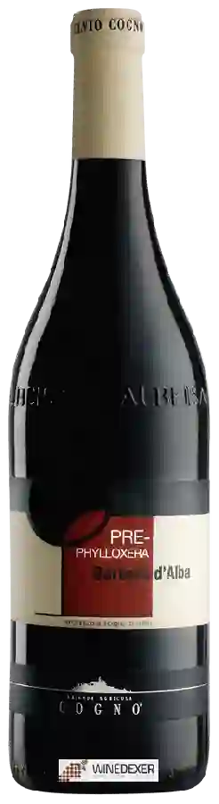 Winery Elvio Cogno - Barbera d'Alba Pre-Phylloxera