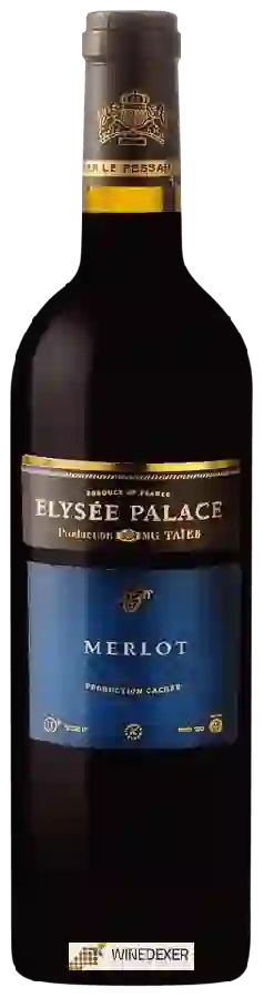 Winery Elysee Palace - Merlot